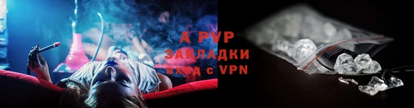 спиды Арсеньев