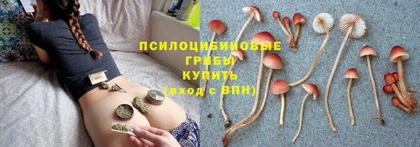 гидропоника Армянск