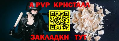 кокс Кингисепп