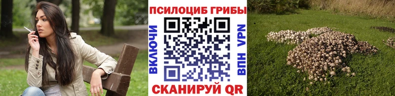 Галлюциногенные грибы Cubensis  наркошоп  Шатура 