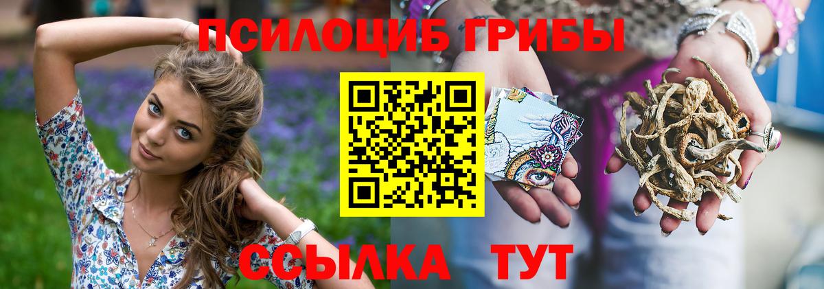 Шатура  Галлюциногенные грибы ЛСД  Вход с VPN 