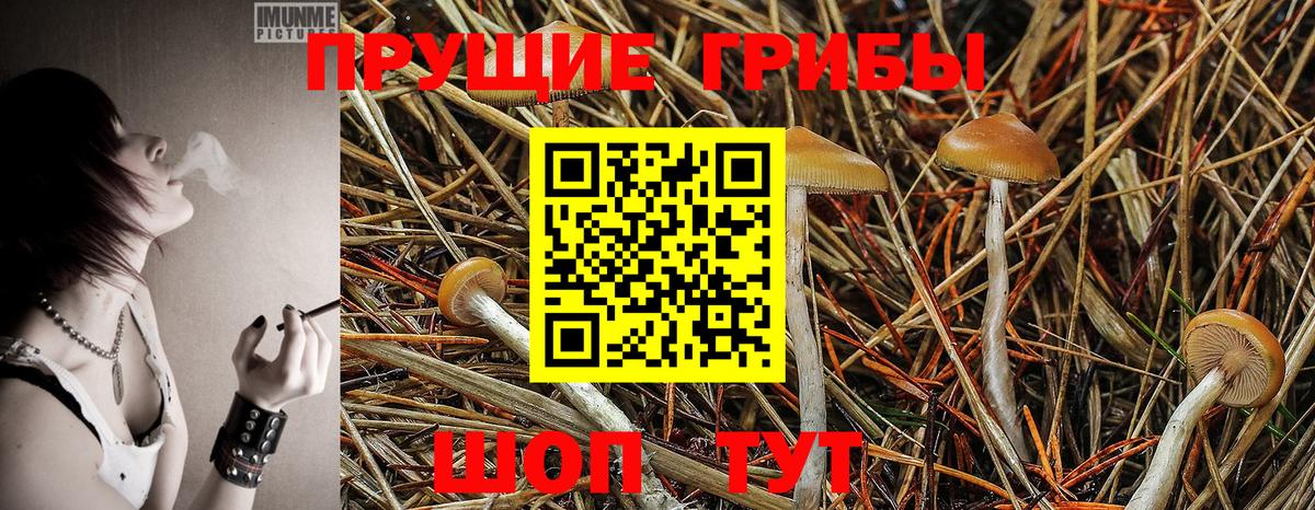 Галлюциногенные грибы Magic Shrooms Шатура